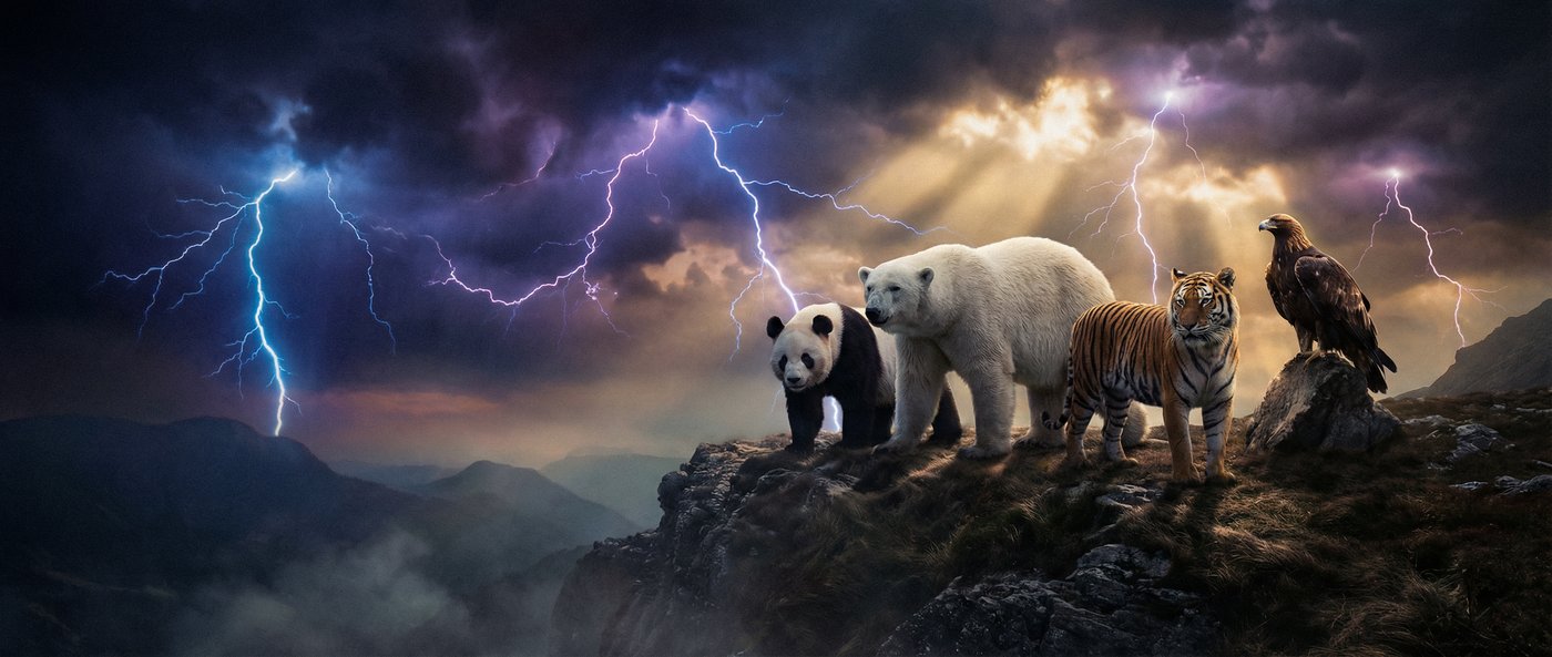 福建兄妹动物写真视频社区